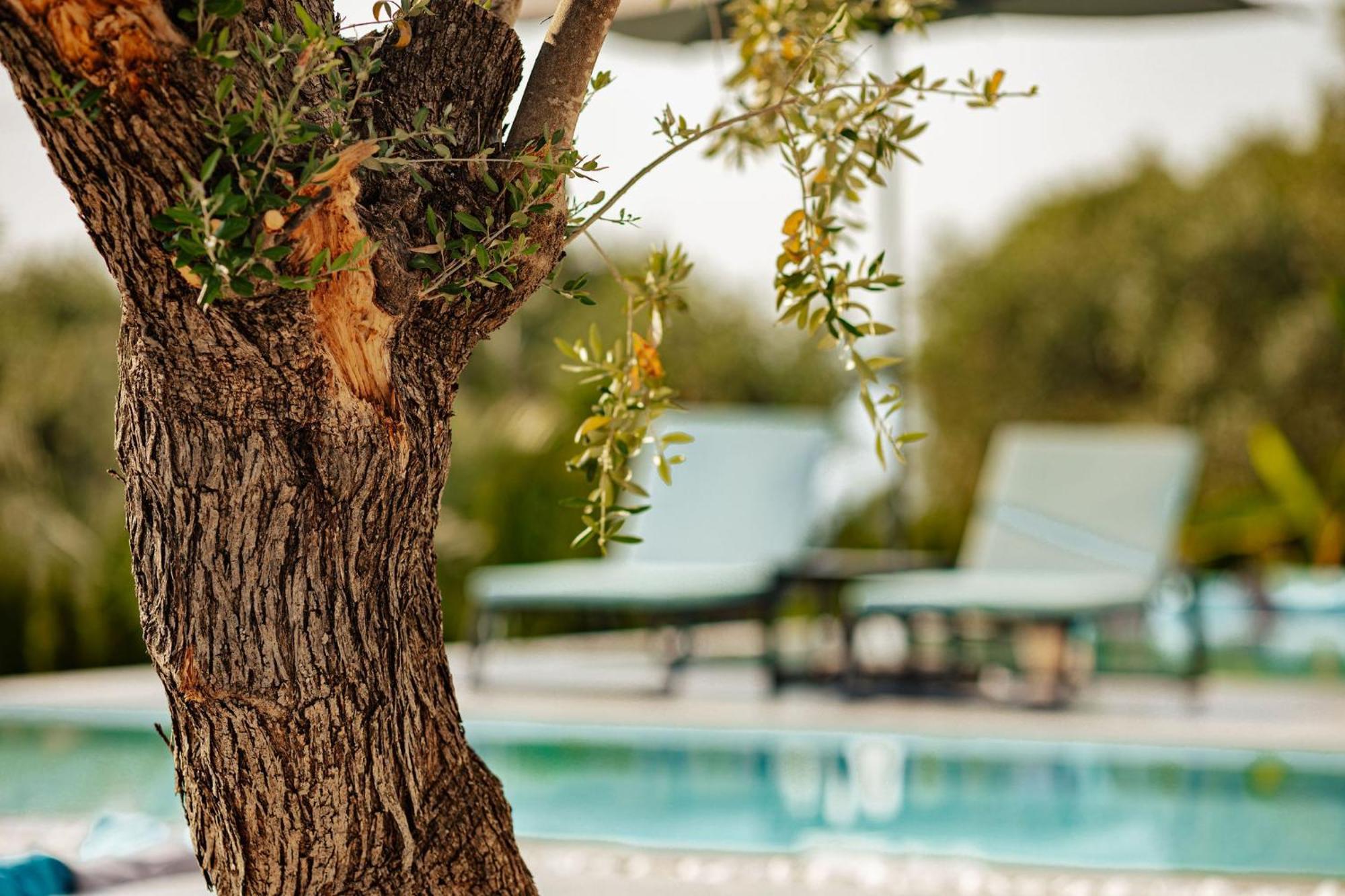 Nooa Villas Skala Rachoni  Buitenkant foto